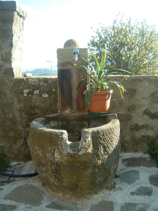 Il Casale Di Rolando Apartment Castiglione di Garfagnana Ngoại thất bức ảnh