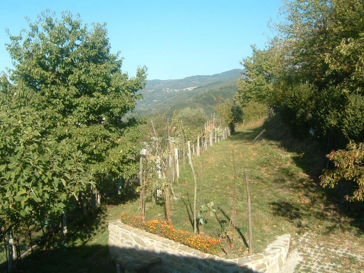 Il Casale Di Rolando Apartment Castiglione di Garfagnana Ngoại thất bức ảnh