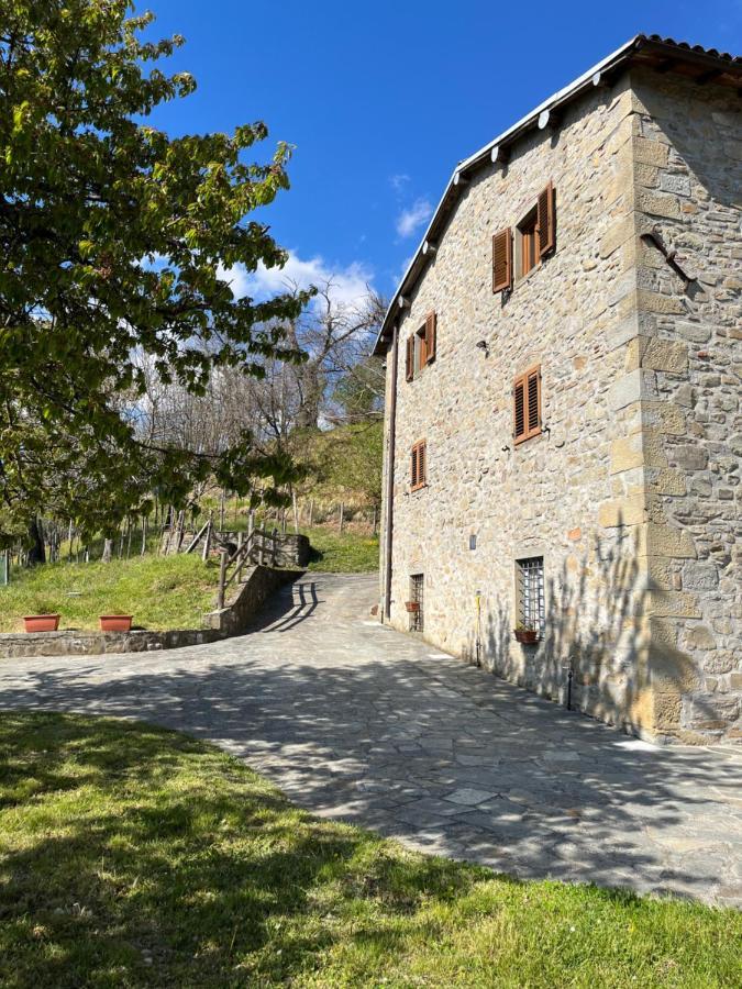 Il Casale Di Rolando Apartment Castiglione di Garfagnana Ngoại thất bức ảnh