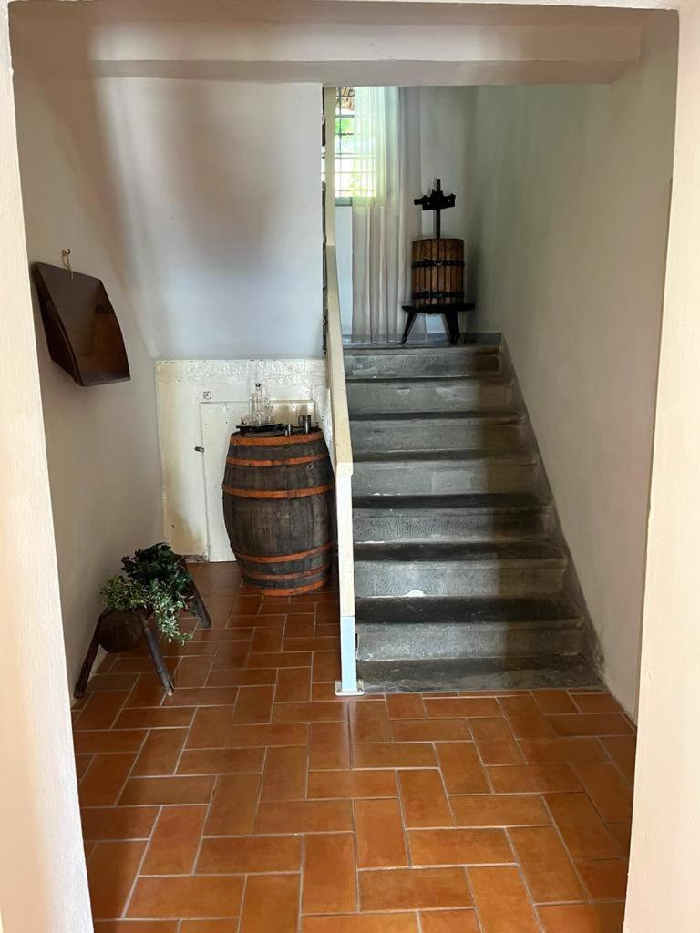 Il Casale Di Rolando Apartment Castiglione di Garfagnana Ngoại thất bức ảnh